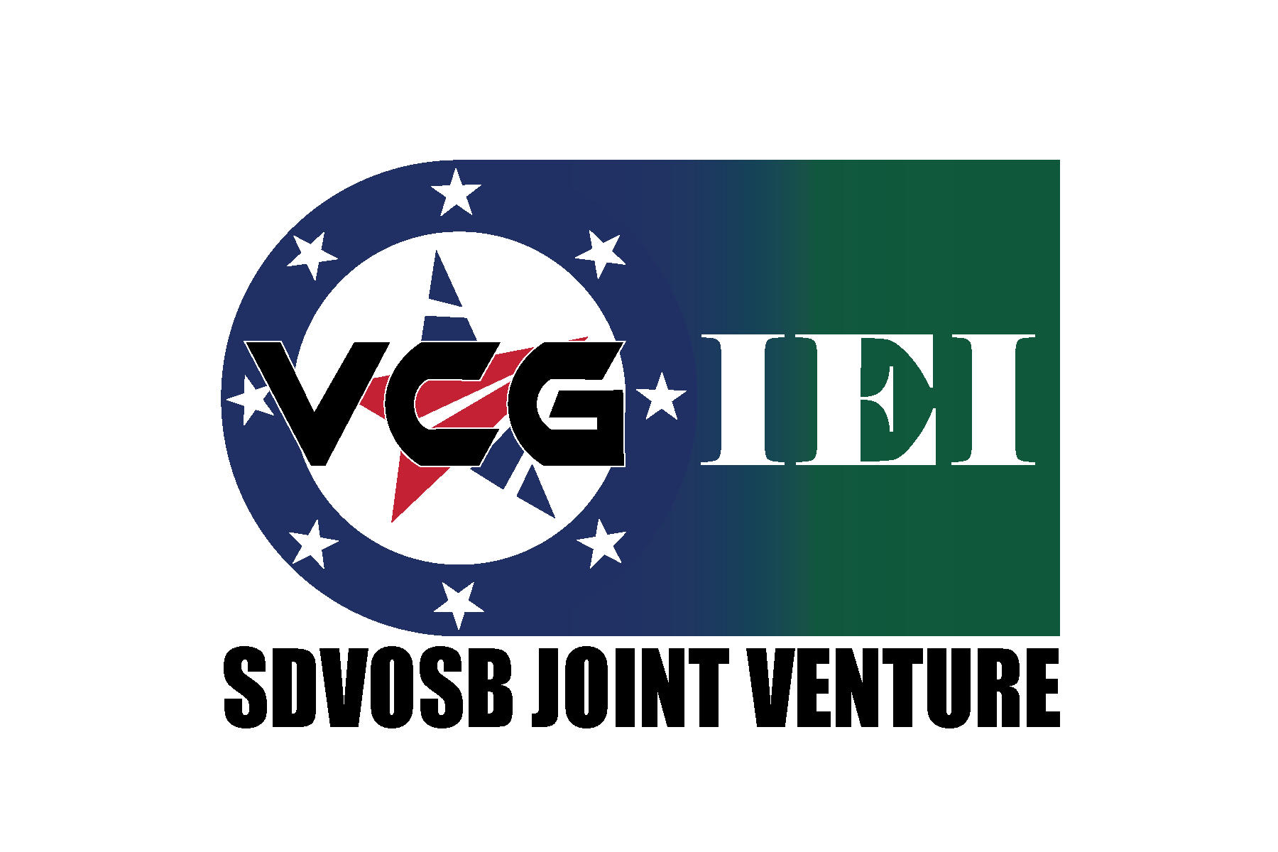 VCG-IEI JV, LLLP logo